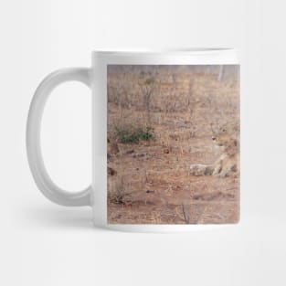 Lioness and Lion Cub Snuggle Together Mug